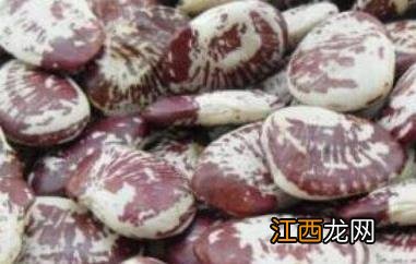 熊猫豆的功效与作用 熊猫豆的营养价值