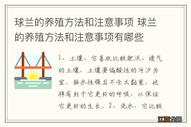 球兰的养殖方法和注意事项 球兰的养殖方法和注意事项有哪些