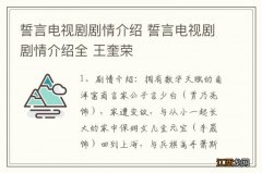 誓言电视剧剧情介绍 誓言电视剧剧情介绍全 王奎荣