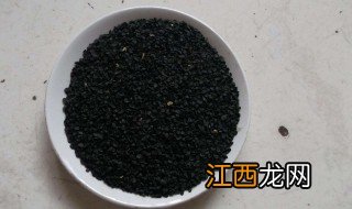 葱籽什么时间下种最好 葱籽什么时间下种