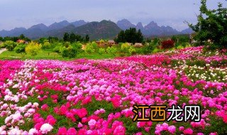 狼牙山花海门票多少钱 狼牙山花海门票