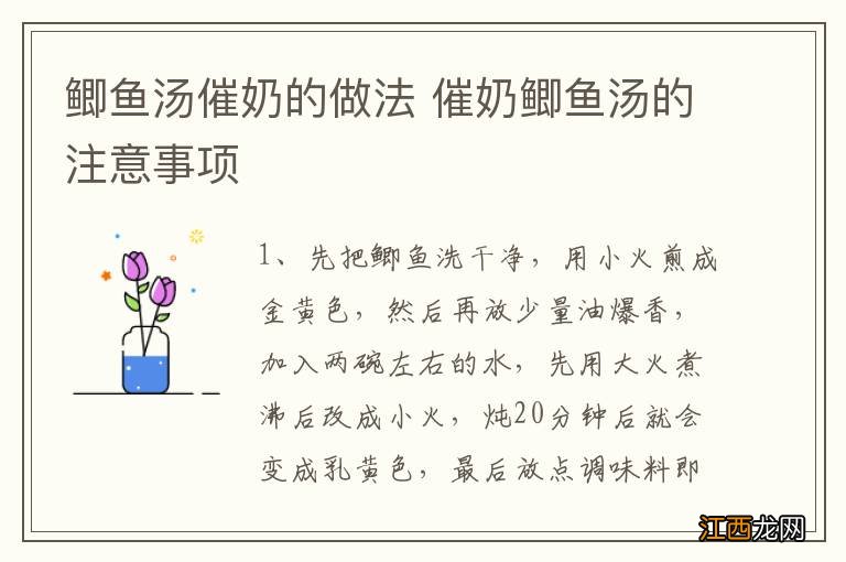 鲫鱼汤催奶的做法 催奶鲫鱼汤的注意事项