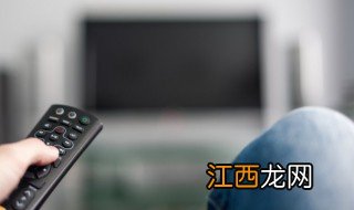 电视剧蜂鸟剧情介绍 电视剧蜂鸟简介