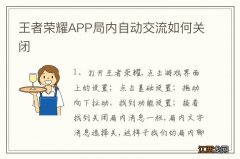 王者荣耀APP局内自动交流如何关闭