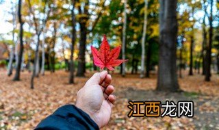 秋天发朋友圈句子 秋天发朋友圈句子精选