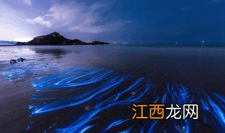 大海深处有什么鱼类 大海深处有什么