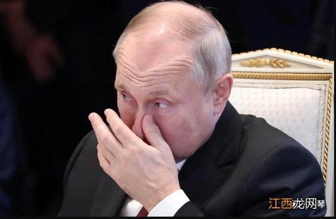 会见赴乌作战士兵母亲，普京：我们对你们的痛苦感同身受