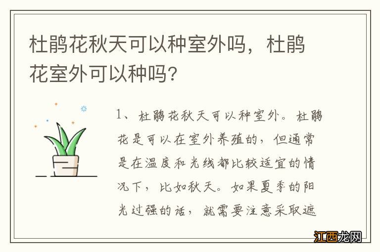 杜鹃花秋天可以种室外吗，杜鹃花室外可以种吗?