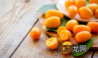 秋天可以移植种金橘树吗 这个季节移栽金桔树可以吗