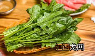 波菜怎么保存新鲜 波菜的保存方法