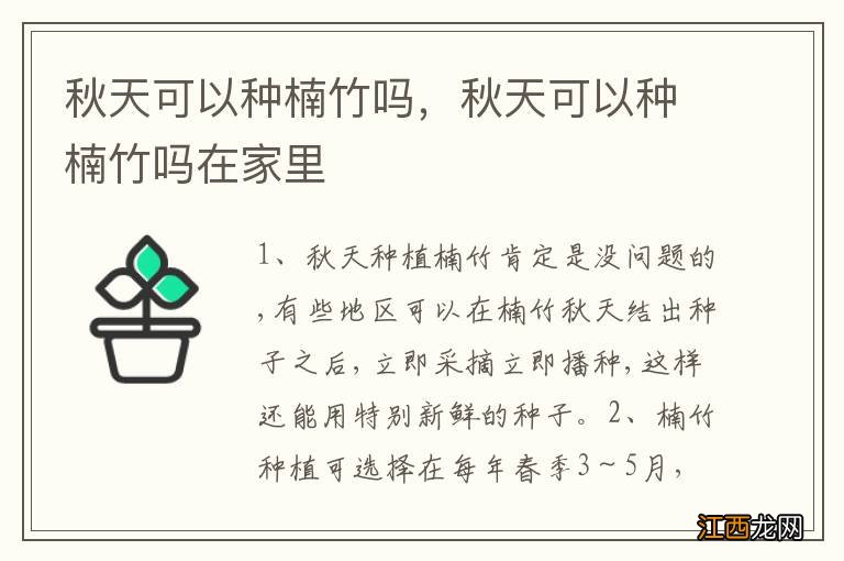 秋天可以种楠竹吗，秋天可以种楠竹吗在家里