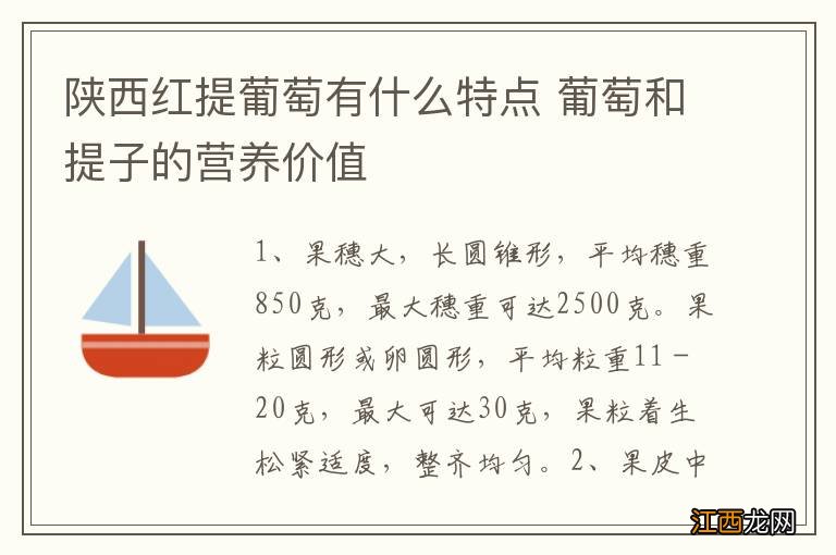 陕西红提葡萄有什么特点 葡萄和提子的营养价值