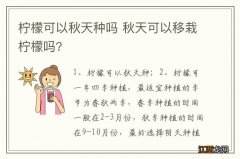 柠檬可以秋天种吗 秋天可以移栽柠檬吗?