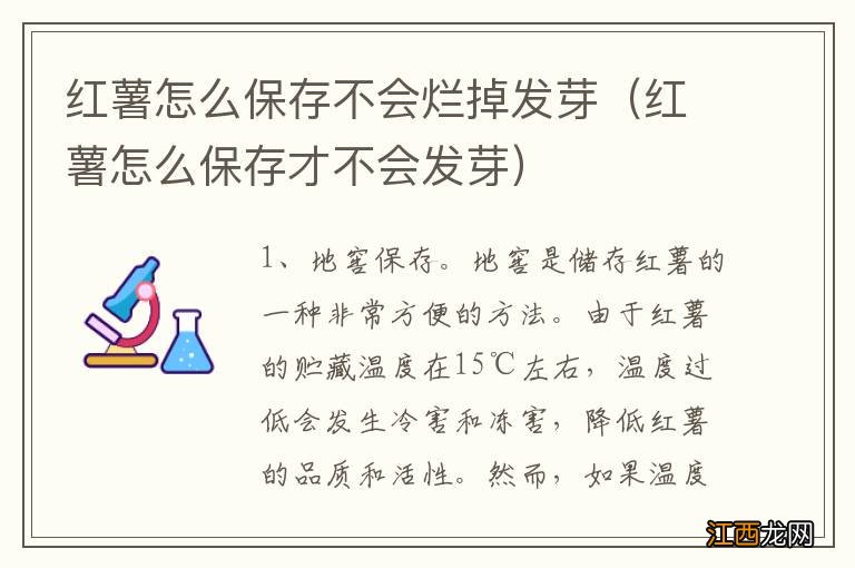 红薯怎么保存才不会发芽 红薯怎么保存不会烂掉发芽