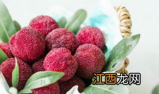 杨梅先洗再冷冻还是先冷冻吃再洗