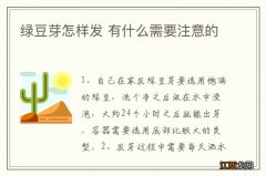 绿豆芽怎样发 有什么需要注意的