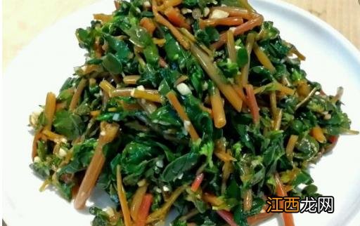 春季养生常吃野菜 健康的野菜菜谱推荐