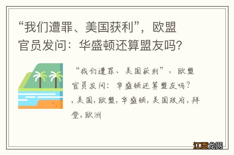 “我们遭罪、美国获利”，欧盟官员发问：华盛顿还算盟友吗？