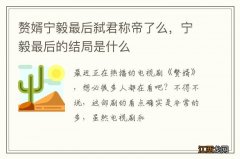 赘婿宁毅最后弑君称帝了么，宁毅最后的结局是什么