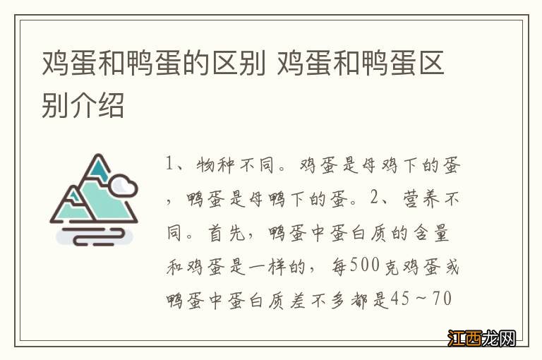 鸡蛋和鸭蛋的区别 鸡蛋和鸭蛋区别介绍