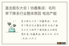 直击股东大会丨协鑫集成：毛利率下降系行业整体原因 电池产能与大尺寸组件产能适配后业绩