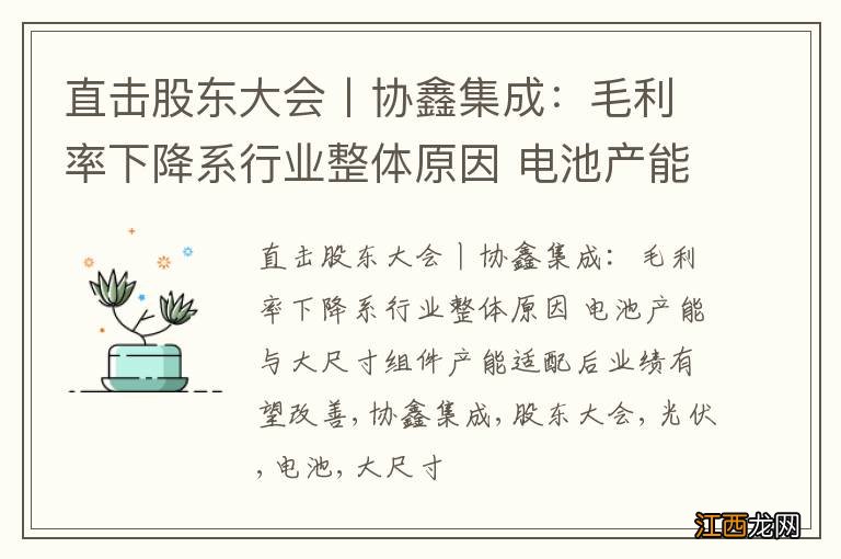 直击股东大会丨协鑫集成：毛利率下降系行业整体原因 电池产能与大尺寸组件产能适配后业绩有望改善