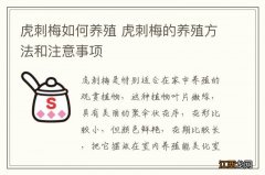 虎刺梅如何养殖 虎刺梅的养殖方法和注意事项