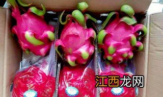 想做水果批发生意新手如何开始