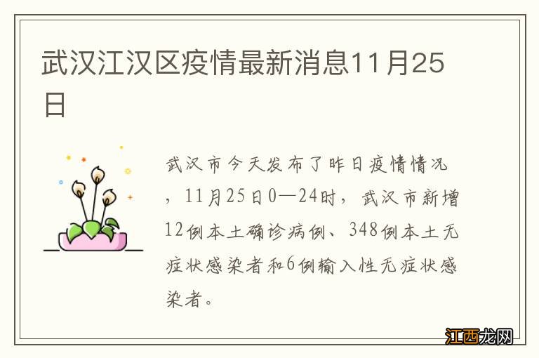 武汉江汉区疫情最新消息11月25日