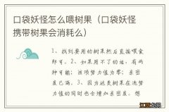 口袋妖怪携带树果会消耗么 口袋妖怪怎么喂树果