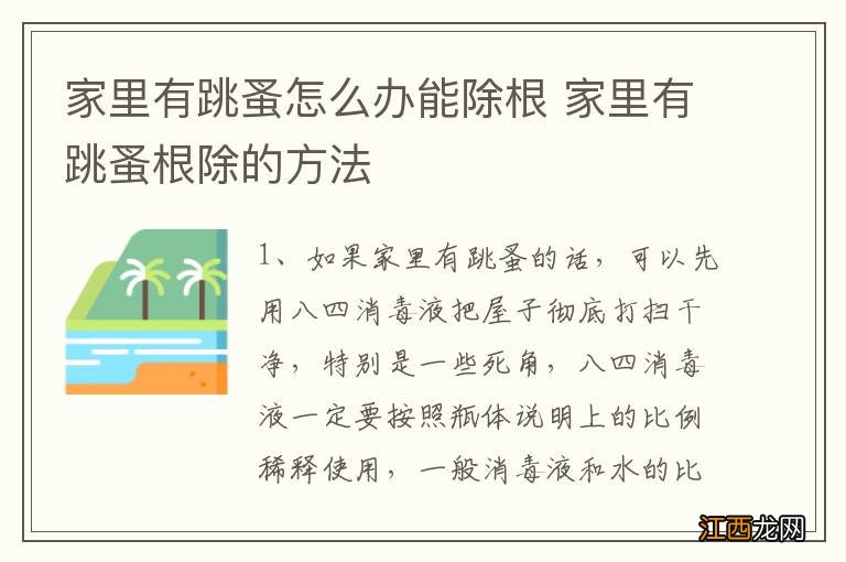 家里有跳蚤怎么办能除根 家里有跳蚤根除的方法