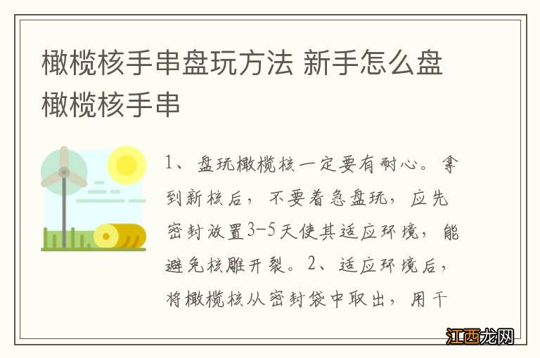 橄榄核手串盘玩方法 新手怎么盘橄榄核手串