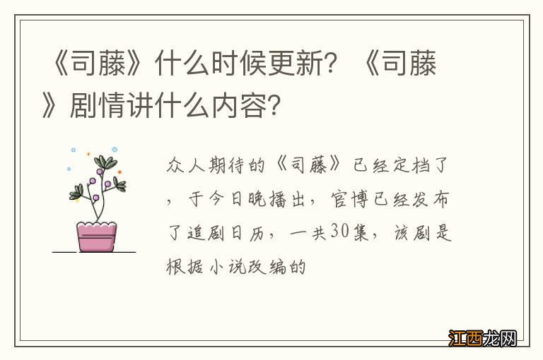 《司藤》什么时候更新？《司藤》剧情讲什么内容？