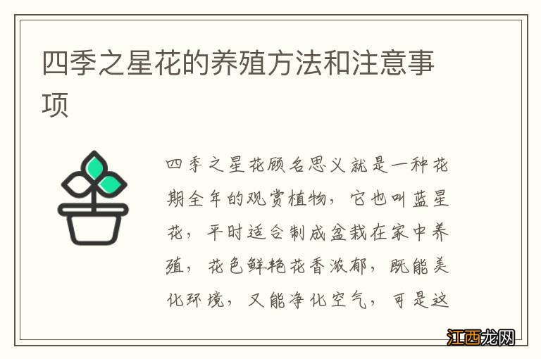 四季之星花的养殖方法和注意事项