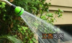 洗衣粉配水浇花有什么作用吗 洗衣粉配水浇花有什么作用