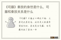 《司藤》秦放的身世是什么，司藤和秦放关系是什么