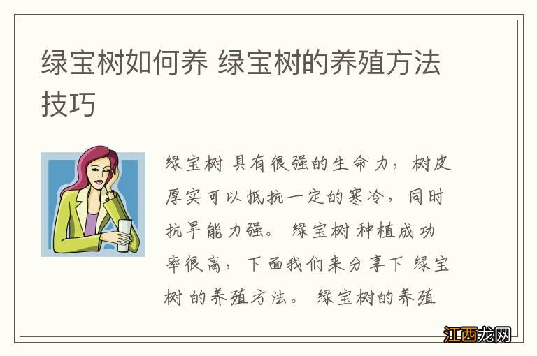 绿宝树如何养 绿宝树的养殖方法技巧