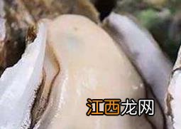 生蚝对男人的功效与作用