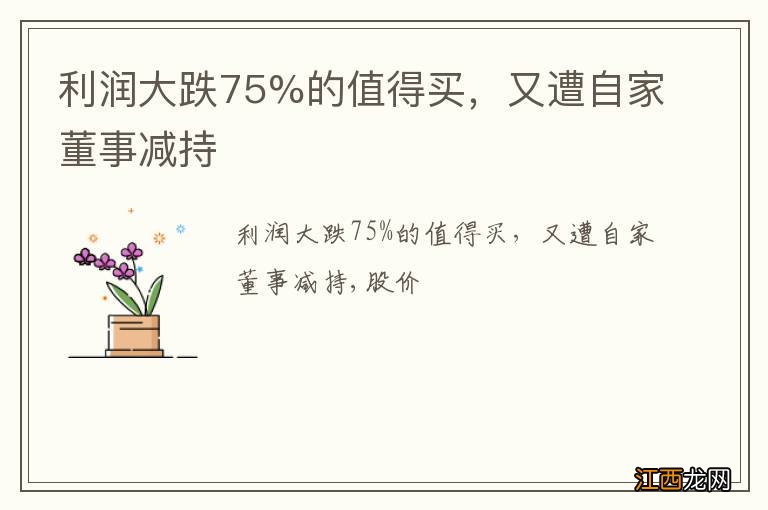 利润大跌75%的值得买，又遭自家董事减持