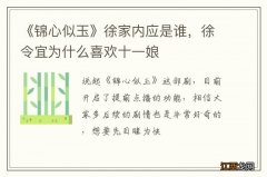 《锦心似玉》徐家内应是谁，徐令宜为什么喜欢十一娘