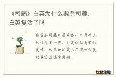 《司藤》白英为什么要杀司藤，白英复活了吗