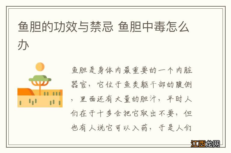 鱼胆的功效与禁忌 鱼胆中毒怎么办