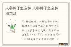 人参种子怎么种 人参种子怎么种植花盆