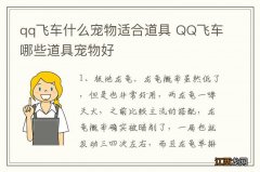 qq飞车什么宠物适合道具 QQ飞车哪些道具宠物好