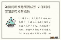 如何判断发酵面团成熟 如何判断面团是否发酵成熟