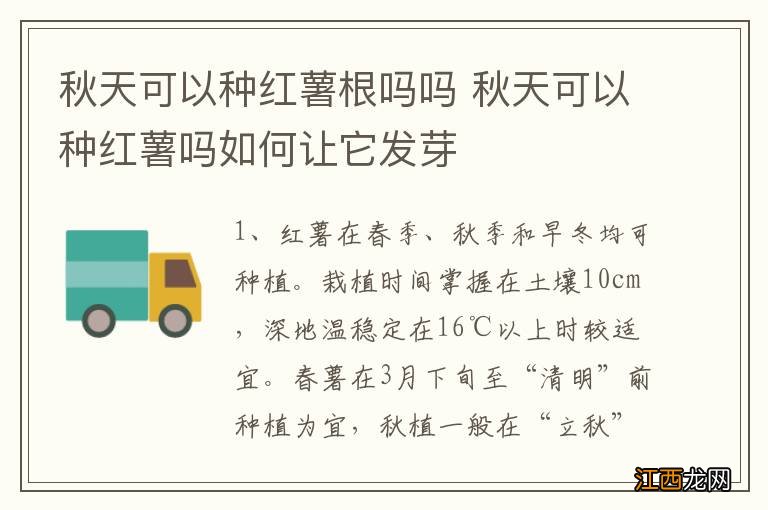 秋天可以种红薯根吗吗 秋天可以种红薯吗如何让它发芽