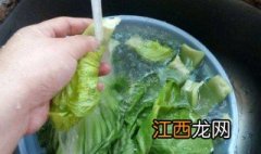 芥菜怎样腌制才不坏呢 芥菜怎样腌制才不坏