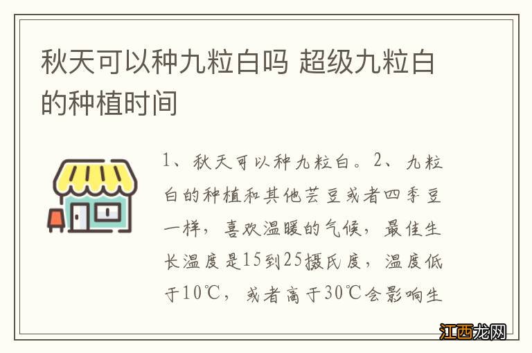 秋天可以种九粒白吗 超级九粒白的种植时间