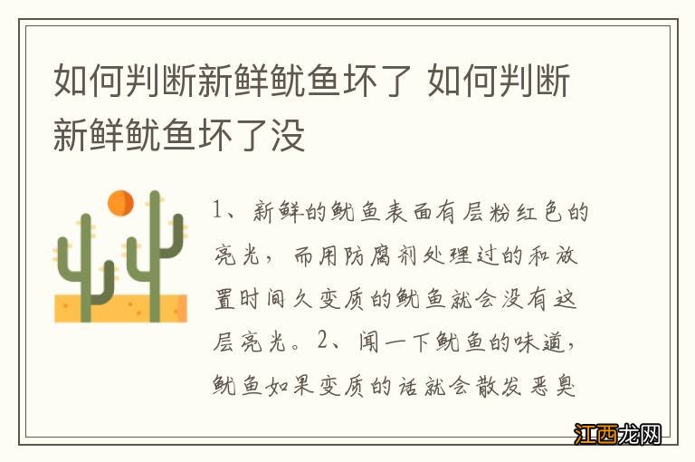 如何判断新鲜鱿鱼坏了 如何判断新鲜鱿鱼坏了没