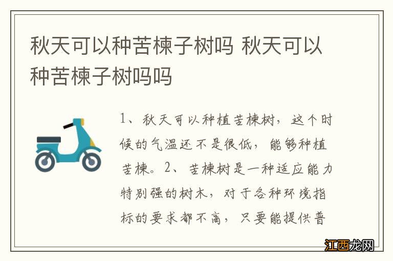 秋天可以种苦楝子树吗 秋天可以种苦楝子树吗吗